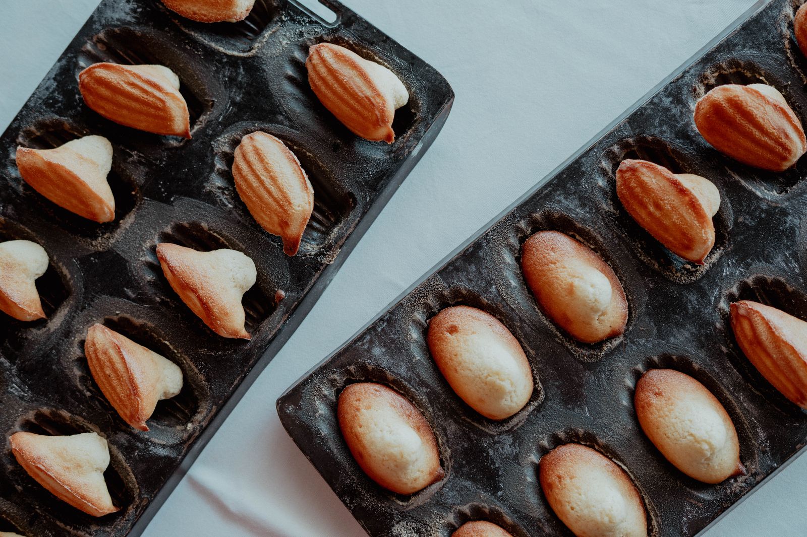 Madeleines fraîchement sorties du moule